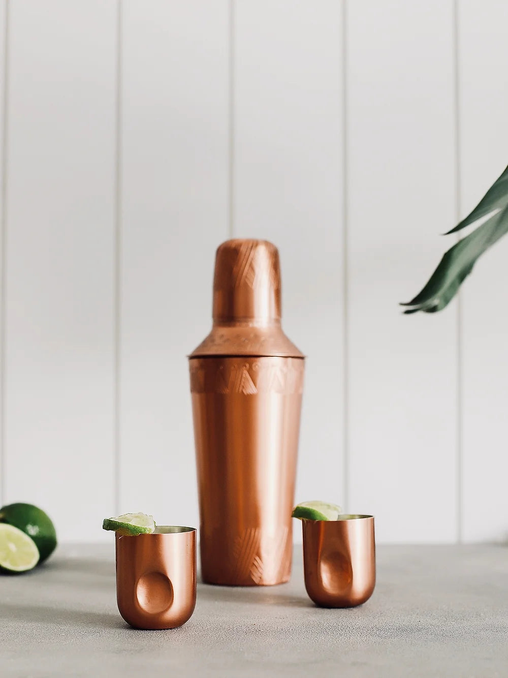 Tumy Copper Shot Set of 6
