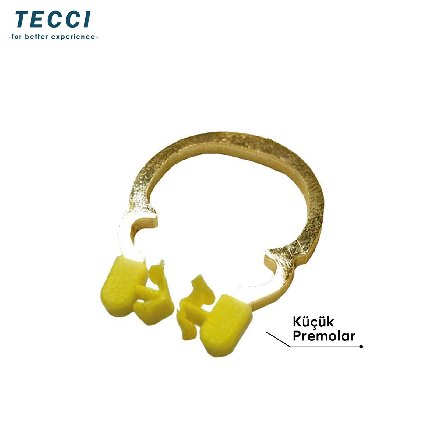 Tecci Gold Ring-T - Matrix Band Holder