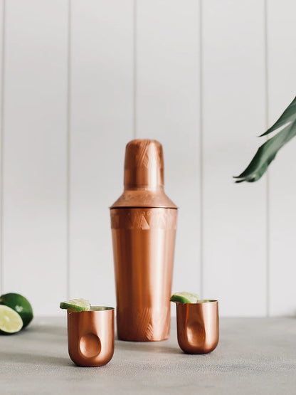 Tumy Copper Shot Set of 6