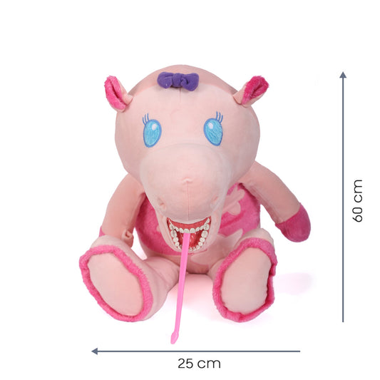 Sunray - Hippo Tooth Brush Teaching Model