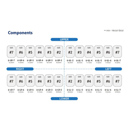 Dentreal - Perma Crown Permanent Molar Crown Kit (48 Crowns)