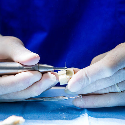 SmartBone Bone Regeneration - Bone Block Graft - 10*10*20 mm